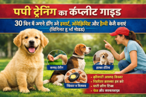Puppy Training Ka Complete Guide: 30 Din Mein Apne Dog Ko Smart, Obedient Aur Happy Kaise Banayein (Beginner to Pro Guide)